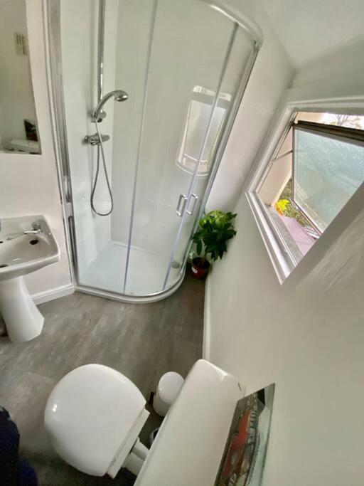 Digs Dre-Tremadog Appartamento Esterno foto